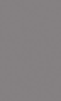 MDF 15MM ASFALTO 2FC 1.830X2.750MM – FLORA